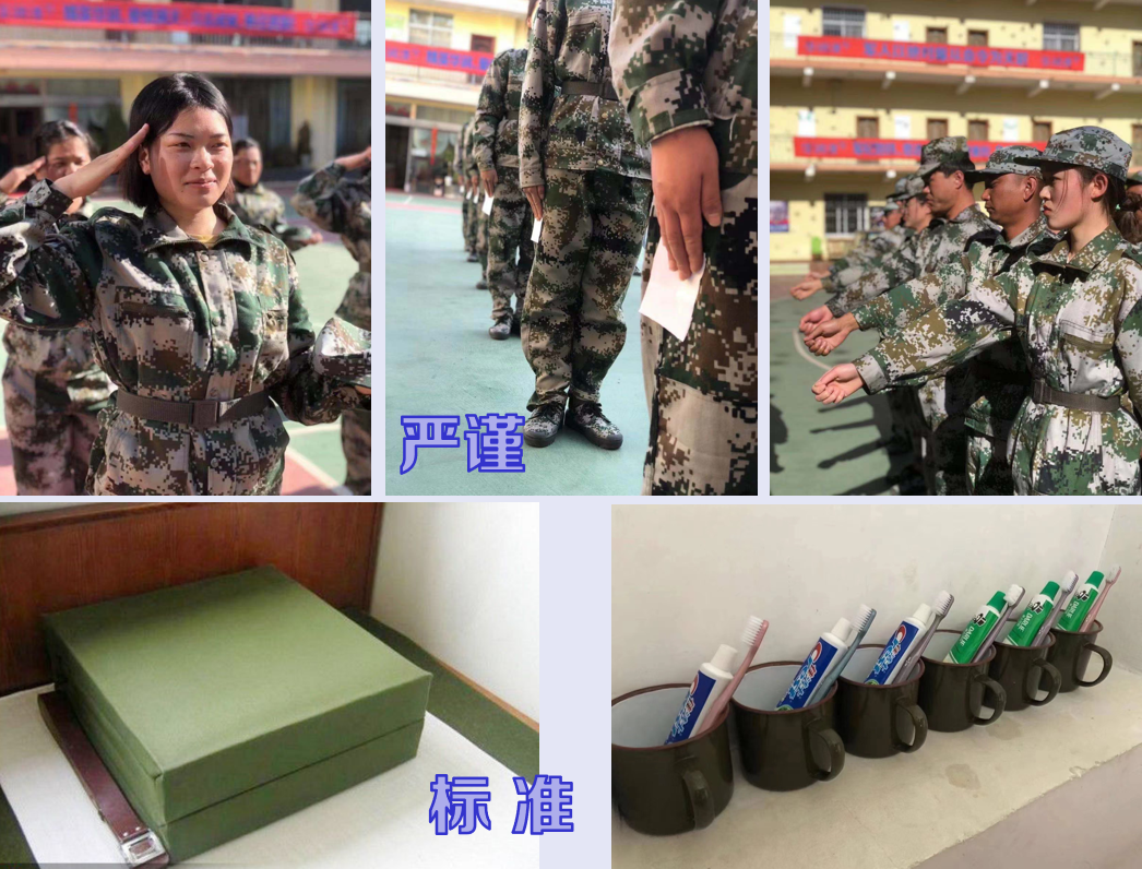 图片12.png